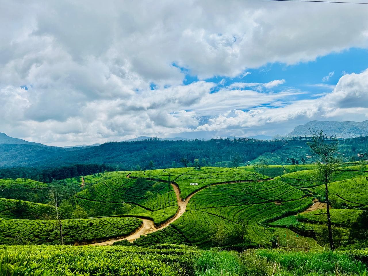 Sri Lanka scenery