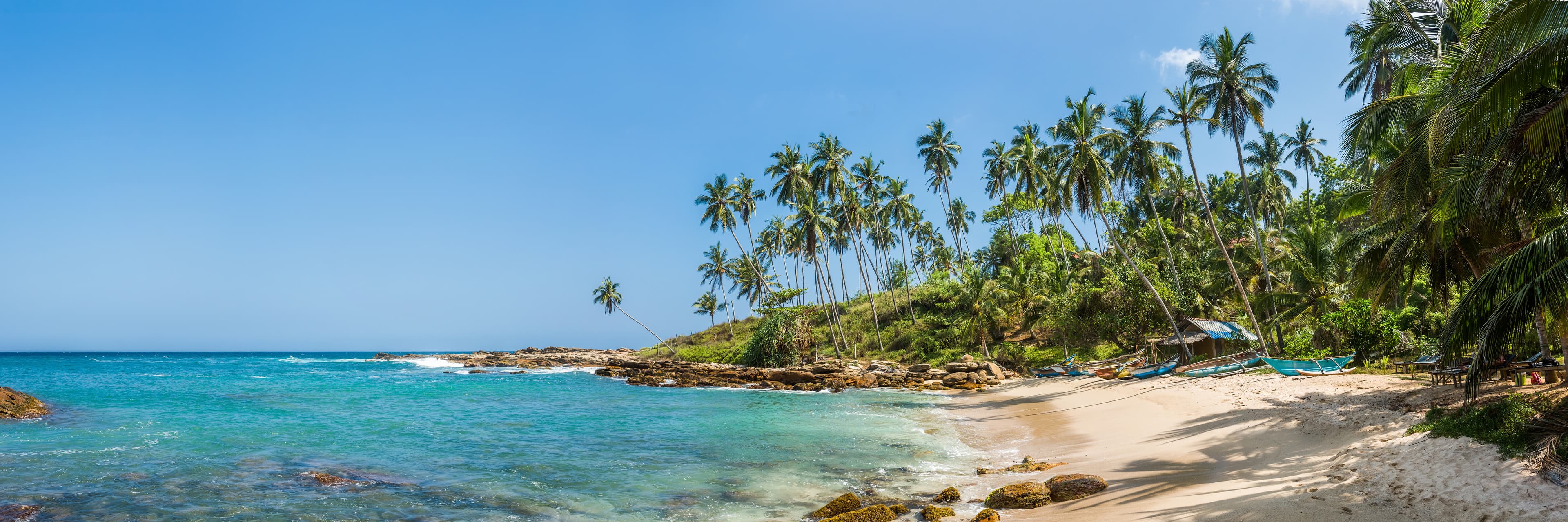 Tropical Paradise Tour